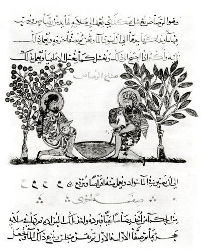 Making Lead, Page from an Arabic Edition of the Treaty of Dioscorides, 